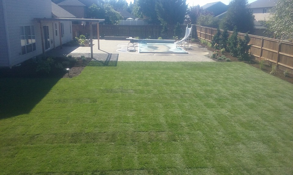 backyard landscaping- hardscapes