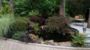 pond- koi pond-water feature