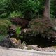 ponds waterfalls and water features-pond- koi pond-water feature