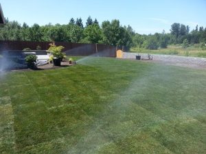 landscape services clark county washington- irrigation- sod lawns- outdoor living