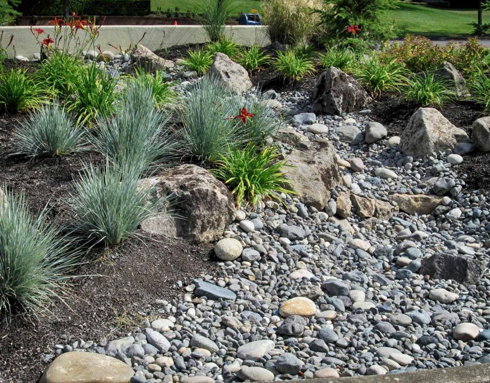 landscape drainage solutions-Vancouver, Wa Custom Drainage Water Feature - Woody's Custom Landscaping