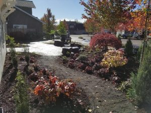 Belgard pavers- landscaping- Front yard landscaping- hardscapes- outdoor living- planting- drip irrigation-
