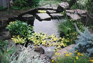 Pond- residential landscaping- Woody's Custom Landscaping-