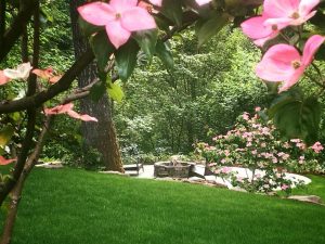 landscape contractors in Clark County Washington-design build landscaping-Custom residential landscaping- belgard- paver patio- fire pit- sod lawn