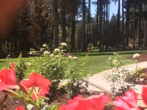 landscaping Ridgefield Washington- landscaping- planting- hardscapes- landscape design