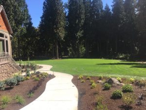 large residential landscaping- irrigation- planting- lawn