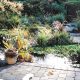 ponds- pond building- Camas WA