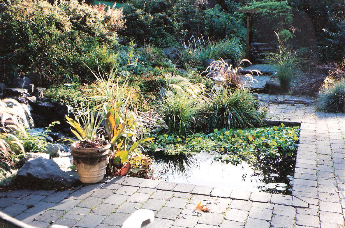 ponds- pond building- Camas WA