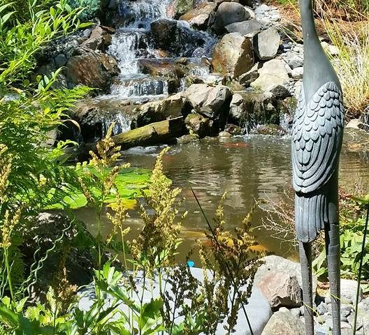Vancouver Wa Pond and Waterfall - Woody's Custom Landscaping
